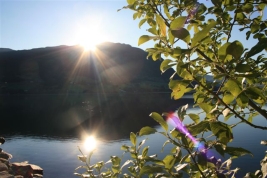 Frühlingssonne am Ölenjord