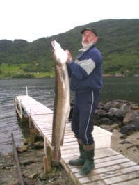 Angeln am Ölenfjord --> Klicken zum Vergrößern